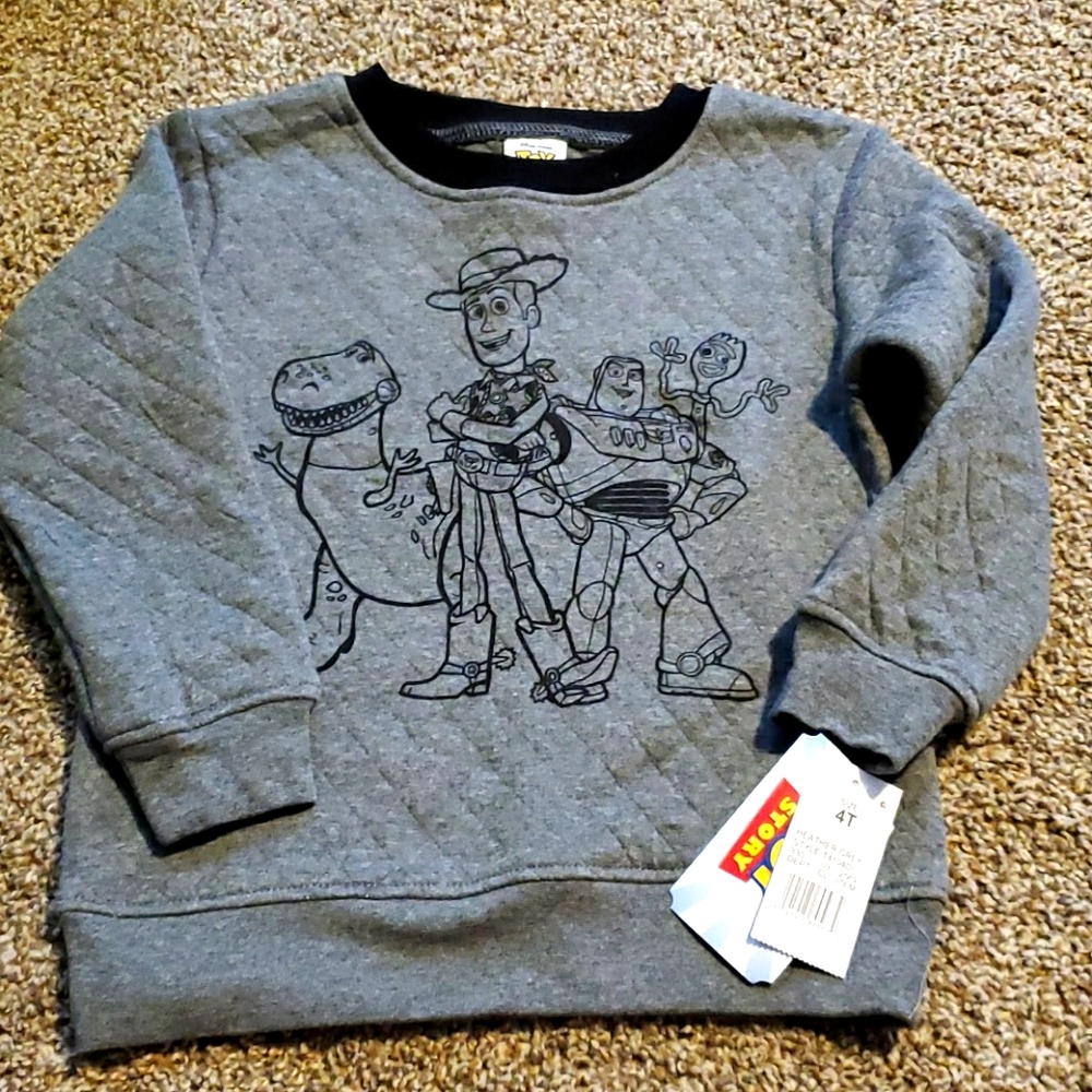 Gray toy story 4t boys sweater